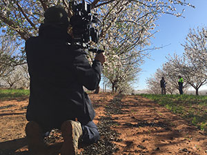 TV Show Filming in Riverland Almond Orchard